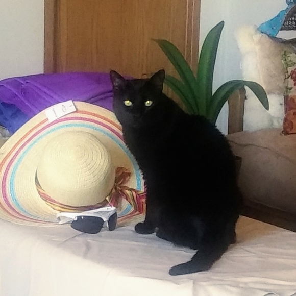 Meet your Posher, Liz - Picture 12 of 16